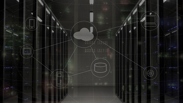 Administrator IT monitorujący sieć komputerową – Dzień Administr