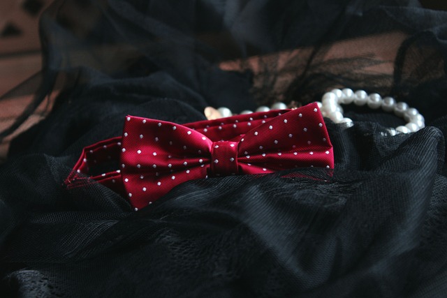 Elegancka muszka – symbol Dnia Muszki